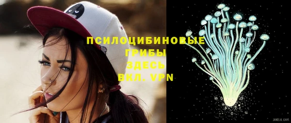 сатива Абдулино