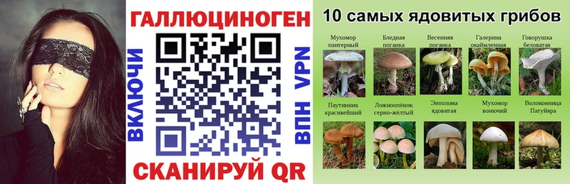 магазин    Новотитаровская  Псилоцибиновые грибы прущие грибы 